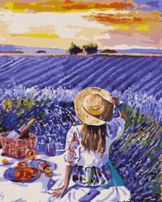 Розпис по номерах 40х50 КНО4966 Лавандовий пікнік "Ідейка"