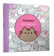 Мінірозмальовка Pusheen купити