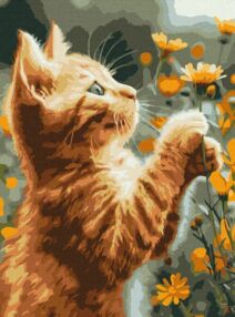 Розпис по номерах 30х40 КНО6607 Рудий пухнастик "Ідейка"