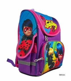 Рюкзак Leader 989161 Lady Bug короб ортопед 34х26х15см