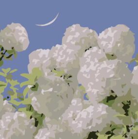 Розпис по номерах 20х20 HH7112 Білі гортензії "Strateg"