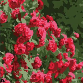 Розпис по номерах 20х20 HH7121 Розкіш троянд "Strateg"