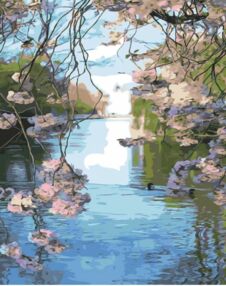 Розпис по номерах 40х50 SY6419 Квітуча заводь на кольоровому фоні "Strateg"