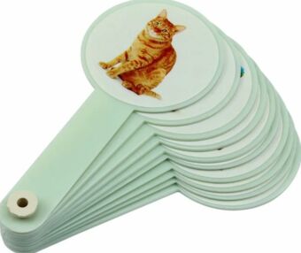 віяло звірі