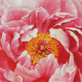 Алмазна мозаїка 40х40 АМО7273 Барвиста півонія "Ідейка"