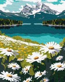 Розпис по номерах 40х50 КНО2895 Квітучі ромашки "Ідейка"