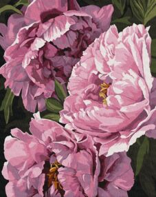 Розпис по номерах 40х50 КНО3242 Магія квітів "Ідейка"