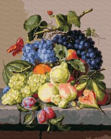 Розпис по номерах 40х50 КНО5655 Оксамитовий натюрморт "Ідейка"