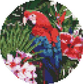 Алмазна мозаїка d19см АМ-R7918 Яскравий папуга на круглому підрамнику "Ідейка"