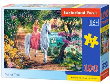 пазли castorland 100 елементів Таємна стежка артикул 111114