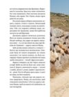 Дорога святого Якова Ціна (цена) 350.00грн. | придбати  купити (купить) Дорога святого Якова доставка по Украине, купить книгу, детские игрушки, компакт диски 6
