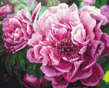 Розпис по номерах 40х50 BS4667 Розкішна півонія brushme Брашми