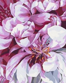 Розпис по номерах 40х50 BS51712 Цвіт у макро зйомці brushme Брашми