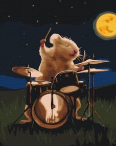 Розпис по номерах 40х50 BS53511 Барабанщик brushme Брашми