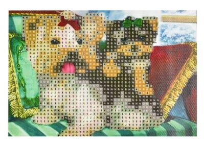 Алмазна мозаїка 10х15 YAB29541 Забавні йорки "Strateg"