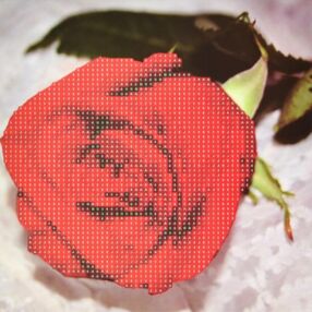 Алмазна мозаїка 18х18 JUB20601 Краса червоної троянди "Strateg"