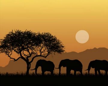 Алмазна мозаїка 40х50 SK86011 Африканське сафарі "Strateg"