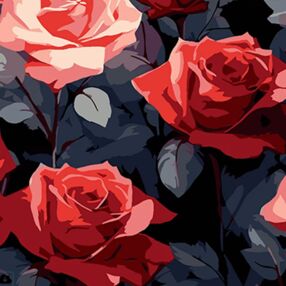 Розпис по номерах 30х30 SH3030-22 Червоні троянди краси на чорному фоні "Strateg"