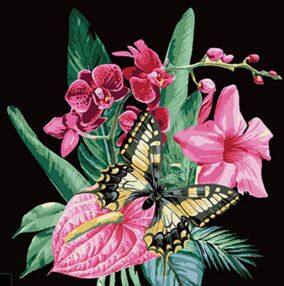 Розпис по номерах 40х40 AV4040-32 Розкіш квітів на чорному фоні "Strateg"