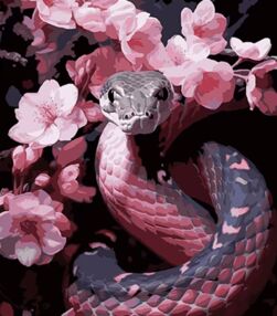 Розпис по номерах 40х50 AH1108 Змія та рожеві відтінки на чорному фоні "Strateg"