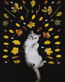 Розпис по номерах 40х50 DY062 Осінній котик "Strateg"