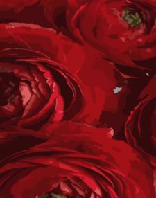 Розпис по номерах 40х50 DY258 Червоні квіти "Strateg"