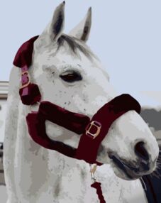 Розпис по номерах 40х50 DY382 Душа прерій "Strateg"