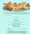 як вижити де завгодно Ціна (цена) 359.80грн. | придбати  купити (купить) як вижити де завгодно доставка по Украине, купить книгу, детские игрушки, компакт диски 4