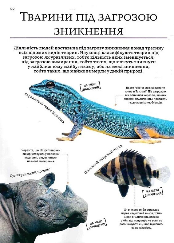 Велика книга тварин Ціна (цена) 299.10грн. | придбати  купити (купить) Велика книга тварин доставка по Украине, купить книгу, детские игрушки, компакт диски 6