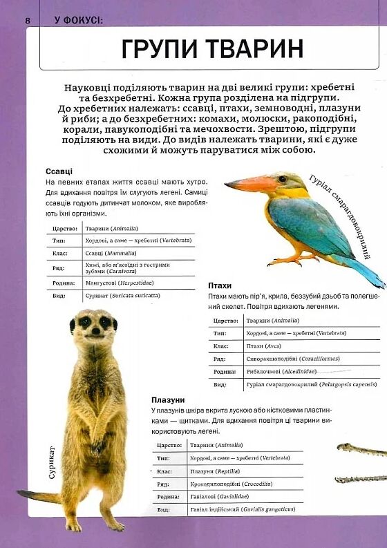 Велика книга тварин Ціна (цена) 299.10грн. | придбати  купити (купить) Велика книга тварин доставка по Украине, купить книгу, детские игрушки, компакт диски 5