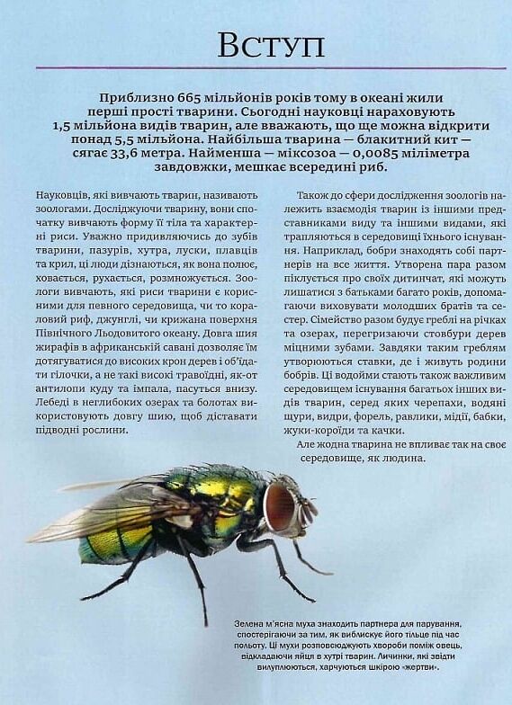 Велика книга тварин Ціна (цена) 299.10грн. | придбати  купити (купить) Велика книга тварин доставка по Украине, купить книгу, детские игрушки, компакт диски 2