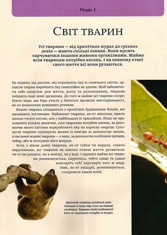 Велика книга тварин Ціна (цена) 299.10грн. | придбати  купити (купить) Велика книга тварин доставка по Украине, купить книгу, детские игрушки, компакт диски 4