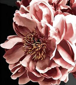 Алмазна мозаїка 30х40 HEG86910 Ніжна квітка "Strateg"