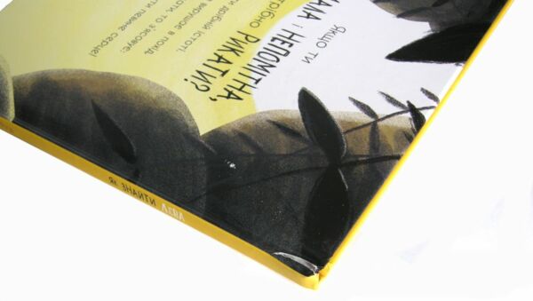 Уцінка Брайт Як знайти лева (надірваний торець) Ціна (цена) 235.00грн. | придбати  купити (купить) Уцінка Брайт Як знайти лева (надірваний торець) доставка по Украине, купить книгу, детские игрушки, компакт диски 1