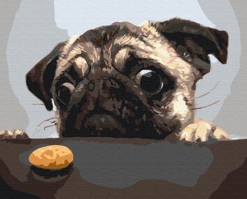 Розпис по номерах 40х50 BS8765 Мопсик brushme Брашмі