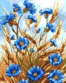 Розпис по номерах 40х50 13127-АС Волошки "Art Craft" арт крафт