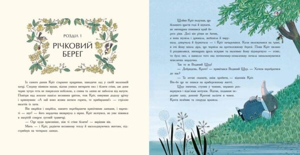 Вітер у вербах Кольорова класика Ціна (цена) 412.50грн. | придбати  купити (купить) Вітер у вербах Кольорова класика доставка по Украине, купить книгу, детские игрушки, компакт диски 2
