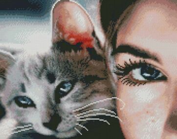 Алмазна мозаїка 40х50 FA40838 Кішка-друг "Strateg"