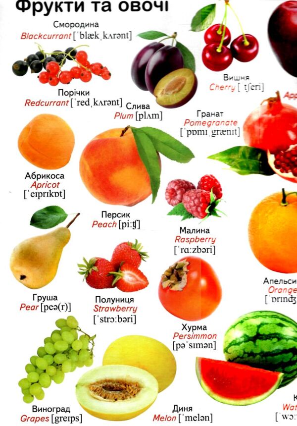 Перші знання малюка Ціна (цена) 308.10грн. | придбати  купити (купить) Перші знання малюка доставка по Украине, купить книгу, детские игрушки, компакт диски 5