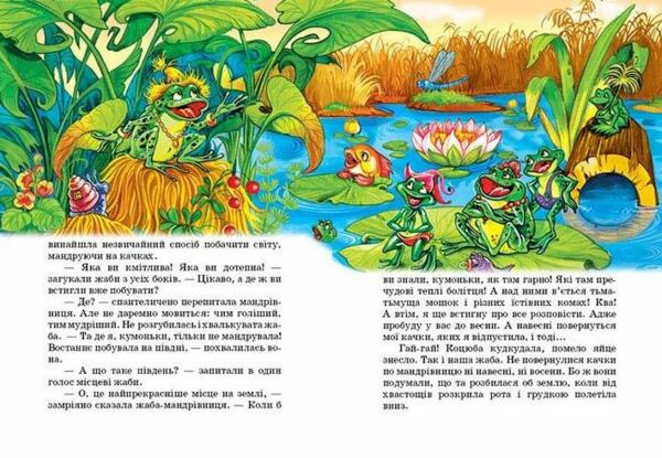 Жаба мандрівниця книжка картонка а5 9789664592724 Ціна (цена) 20.10грн. | придбати  купити (купить) Жаба мандрівниця книжка картонка а5 9789664592724 доставка по Украине, купить книгу, детские игрушки, компакт диски 2