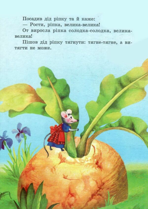 Ріпка книжка картонка а5 Ціна (цена) 21.30грн. | придбати  купити (купить) Ріпка книжка картонка а5 доставка по Украине, купить книгу, детские игрушки, компакт диски 1