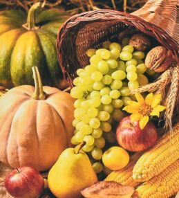 Алмазна мозаїка 40х50 SK88252 Осінній врожай "Strateg"