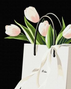 Розпис по номерах 40х50 BSВ0047 Ніжний подарунок на чорному фоні brushme Брашми