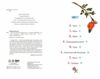 Курт Хто хоче бути єдинорогом Ціна (цена) 230.60грн. | придбати  купити (купить) Курт Хто хоче бути єдинорогом доставка по Украине, купить книгу, детские игрушки, компакт диски 2