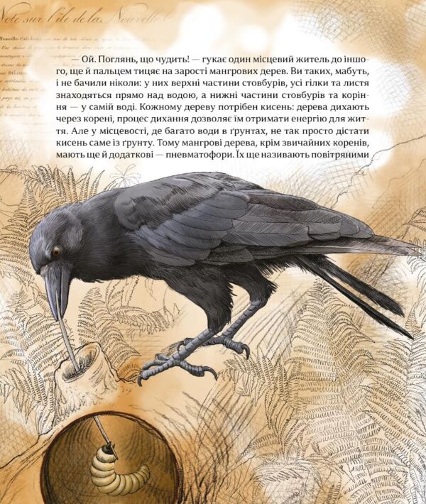 Як зрозуміти тварин. Дослідження та відкриття Ціна (цена) 445.90грн. | придбати  купити (купить) Як зрозуміти тварин. Дослідження та відкриття доставка по Украине, купить книгу, детские игрушки, компакт диски 2