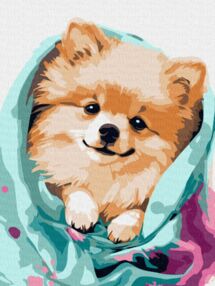 Розпис по номерах 30х40 КНО6545 Щасливий шпіц "Ідейка"
