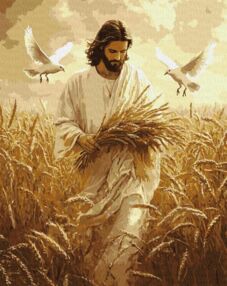 Розпис по номерах 40х50 КНО8532 Жнива віри "Ідейка"