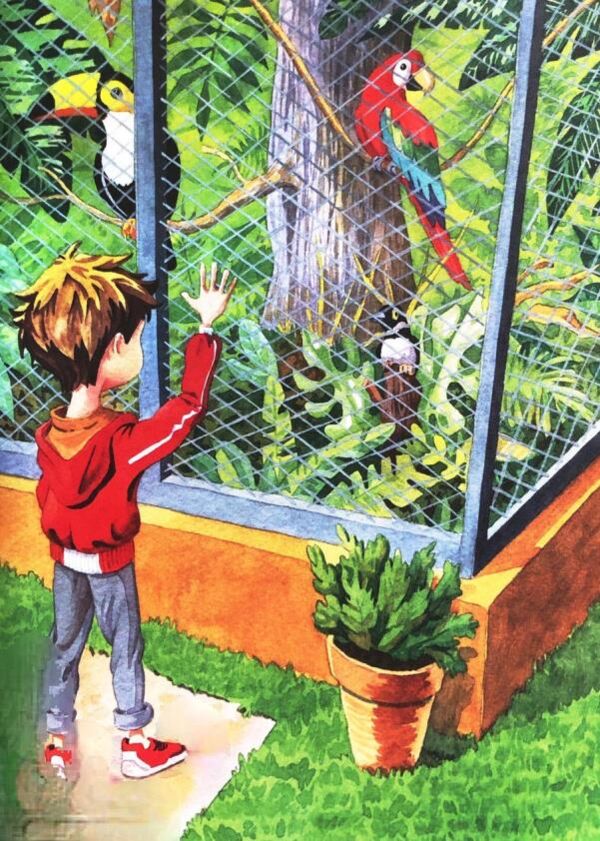 Дива до Різдва Ціна (цена) 311.74грн. | придбати  купити (купить) Дива до Різдва доставка по Украине, купить книгу, детские игрушки, компакт диски 3