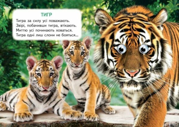 цікаві книжки з оченятами дикі тварини картонки формат А6 Ціна (цена) 22.10грн. | придбати  купити (купить) цікаві книжки з оченятами дикі тварини картонки формат А6 доставка по Украине, купить книгу, детские игрушки, компакт диски 3