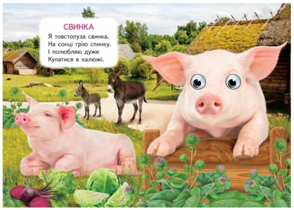 цікаві книжки з оченятами ферма картонки формат А6 Ціна (цена) 22.10грн. | придбати  купити (купить) цікаві книжки з оченятами ферма картонки формат А6 доставка по Украине, купить книгу, детские игрушки, компакт диски 1